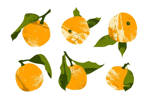 Mandarin Juicy Jeruk Jeruk Clementine Buah Jeruk Segar Makanan Organik - Stok Vektor