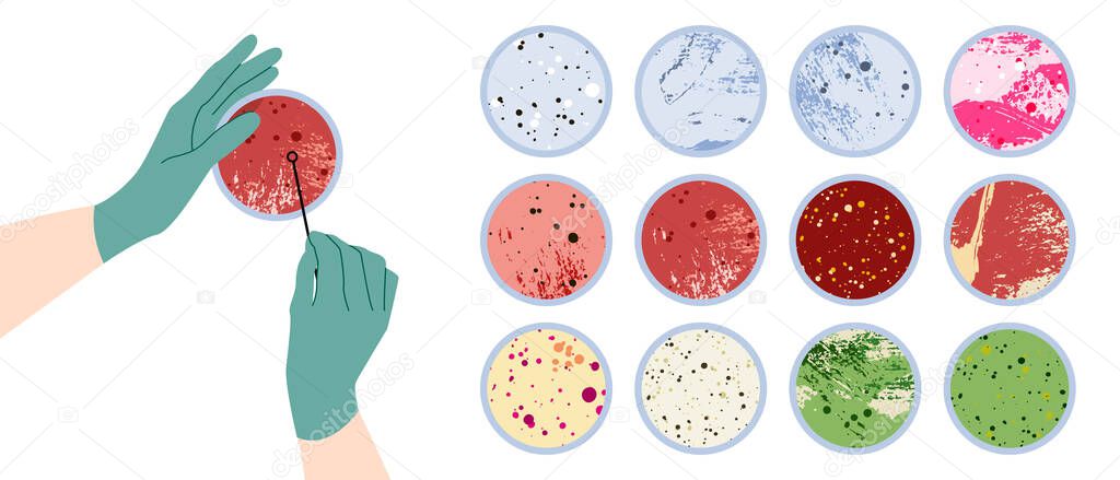 Scientist's hand in glove holding Petri dish, plate with agar, bacterial colony. Bacteriology. Microbiology. Laboratory test, bacteriological swab, chemical analysis. Vector flat cartoon illustration