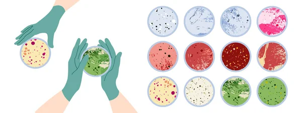 Рука Вченого Рукавичці Тримає Посуд Петрі Тарілку Агаром Бактеріальну Колонію — стоковий вектор