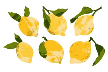 Sulu limon. Taze narenciye, sağlıklı organik gıda. Yapraklı olgun sarı meyveler. Vektör düz çizgi film botanik çizimi. Logo için mükemmel, damga, damga, damga