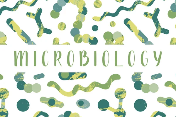 Microbiología Bacteriología Bacterias Microorganismos Coccus Bifidobacterium Clostridium Streptococcus Staphylococcus Spirillum — Vector de stock