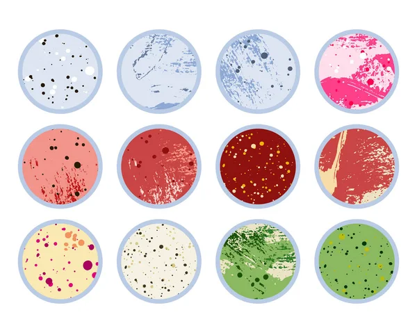 페트리 접시에 서식지 학이요 미생물학 실험실 세균학적 화학적 — 스톡 벡터