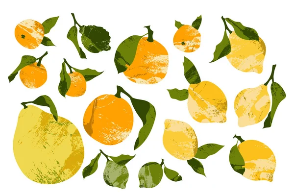 ジューシーなレモン ライム みかん オレンジ クレメンタイン ベルガモット ザボン 新鮮な柑橘類 健康的な有機食品 葉で果物を熟す — ストックベクタ