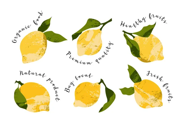 Lemon Dingin Buah Jeruk Segar Makanan Organik Yang Sehat Buah - Stok Vektor