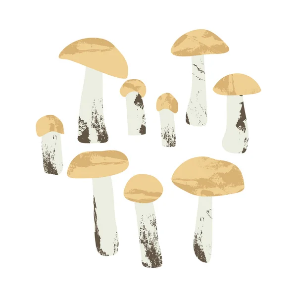 Boletus Boletus Gorra Naranja Boletus Gorra Marrón Setas Comestibles Alimento — Vector de stock