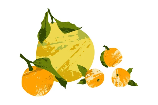 Juicy Mandarin Tangerine Orange Clementine Pomelo Buah Anggur Buah Jeruk - Stok Vektor