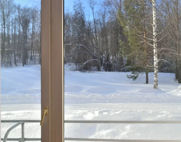 Vista dalla finestra su una foresta invernale — Foto Stock