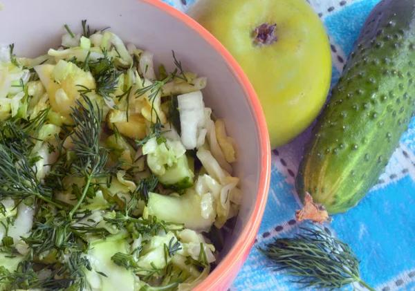 Salat aus Kohl, Gurken und grünem Apfel — Stockfoto