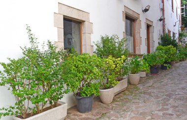 Avrupa iç avlusu iç