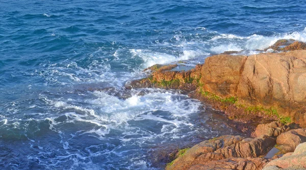 夏の磯浜海岸 — ストック写真