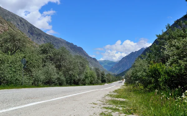 Weg in de bergen — Stockfoto