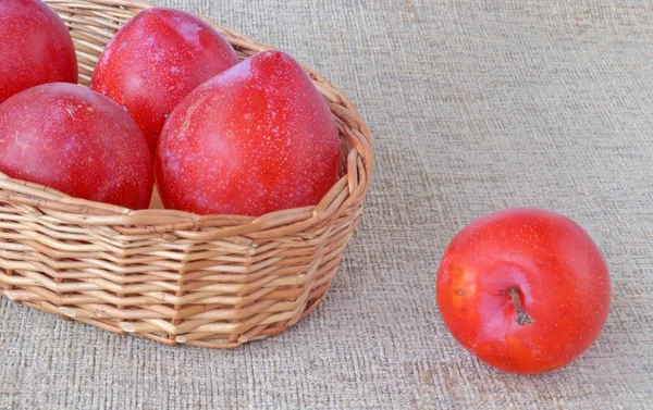 Frische rote Pflaumen im Weidenkorb — Stockfoto