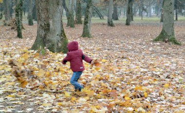 Bir çocuk yere düşen yaprakları havaya fırlatıyor.