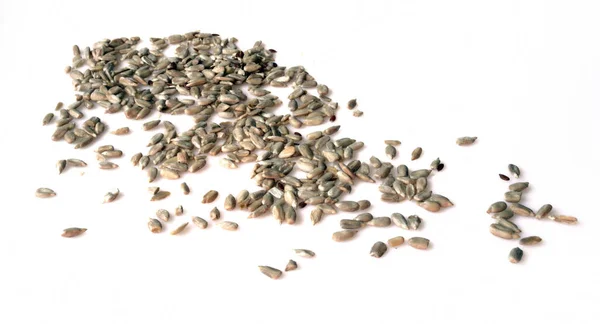 Очищенные Семена Разбросаны Белой Спинке — стоковое фото
