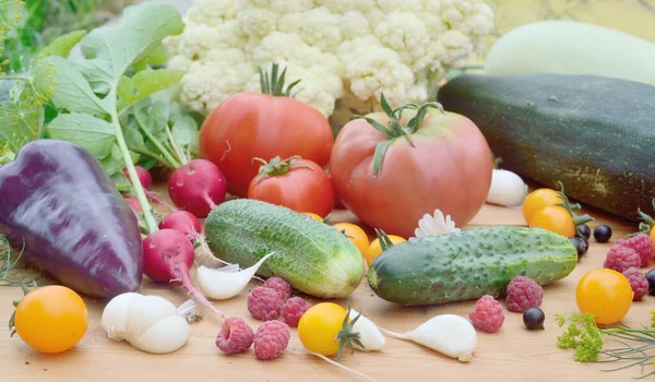 Ensemble Légumes Baies Cultivés Dans Jardin Avec Leur — Photo