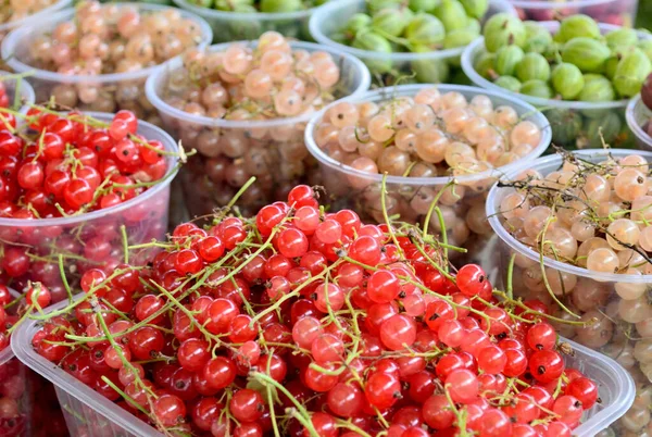 Bacche Ribes Rosso Bianco Vengono Versati Bicchieri Plastica — Foto Stock