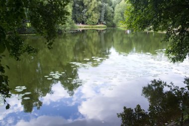 Şehir parkında gölet 