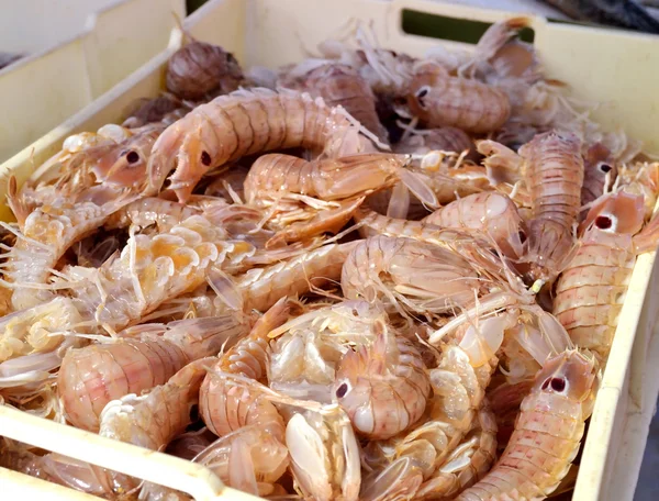 Venta de camarones frescos en el mercado de pescado —  Fotos de Stock