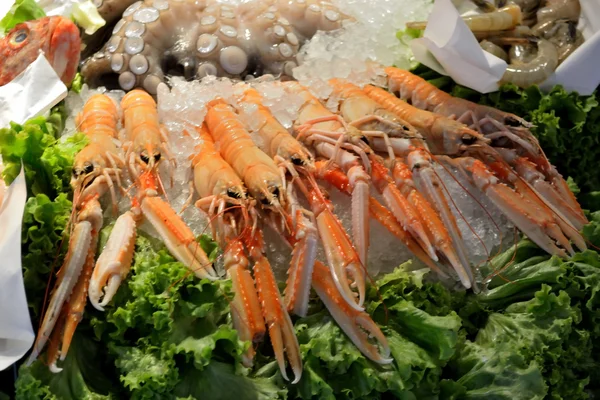 Cánceres y otros productos del mar distintos del pescado en el mostrador comercial —  Fotos de Stock