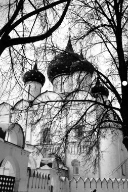 İsa'nın Doğuşu Suzdal Rusya'da Katedrali 