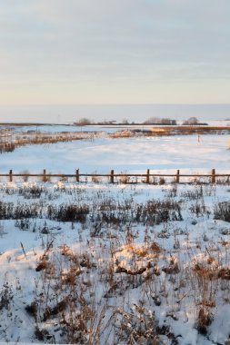 Kış karla kaplı alan