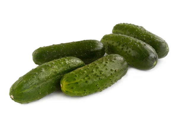 Small fresh cucumbers — Stock Photo, Image