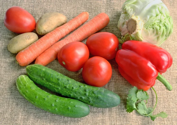 Fresh vegetables on canvas — Stock Photo, Image