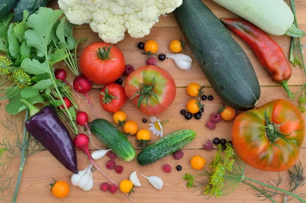 Uma nova cultura de legumes e frutas — Fotografia de Stock