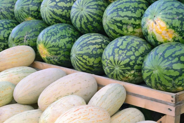 Pastèques et melons vendus dans la rue — Photo