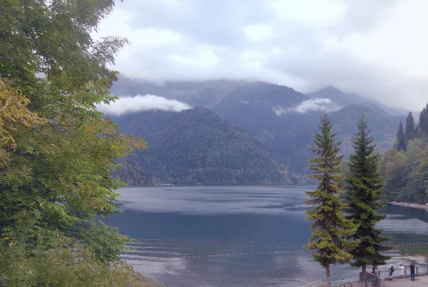 Lago Ritsa en Abjasia en tiempo nublado —  Fotos de Stock