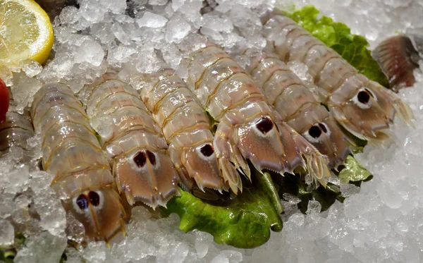 Fresh shrimp  in the shop — Stock Photo, Image