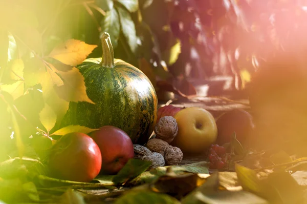 Calabaza con frutas y nueces — Foto de Stock