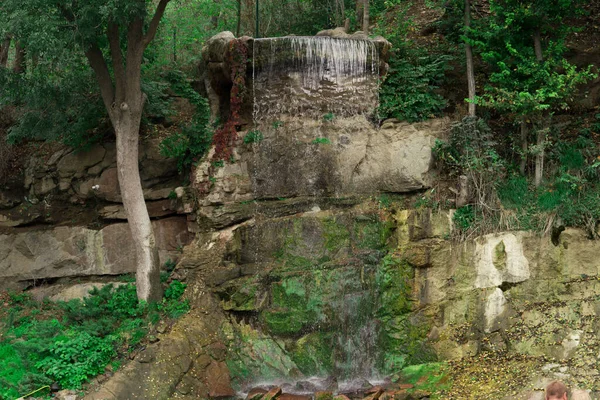 Cascada Bosque Agua Fluye Por Roca Rocosa —  Fotos de Stock