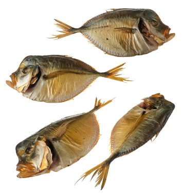 Tütsülenmiş vomer balığı, kolaj, beyaz arka planda izole edilmiş.