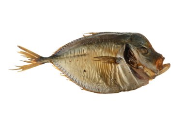 Beyaz arka planda tütsülenmiş Vomer balığı.