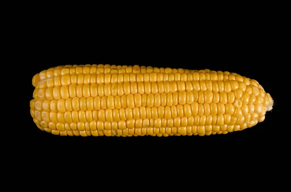 Junge Maisschaukel Auf Schwarzem Hintergrund Isoliert Nahaufnahme — Stockfoto