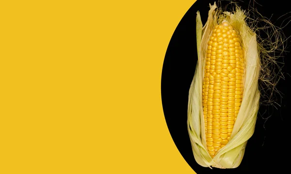 成熟的玉米在卷心菜头里 一半剥落在稻壳上 放在木板上 还有一个黑色的背景空间 放在黄色的背景上 — 图库照片