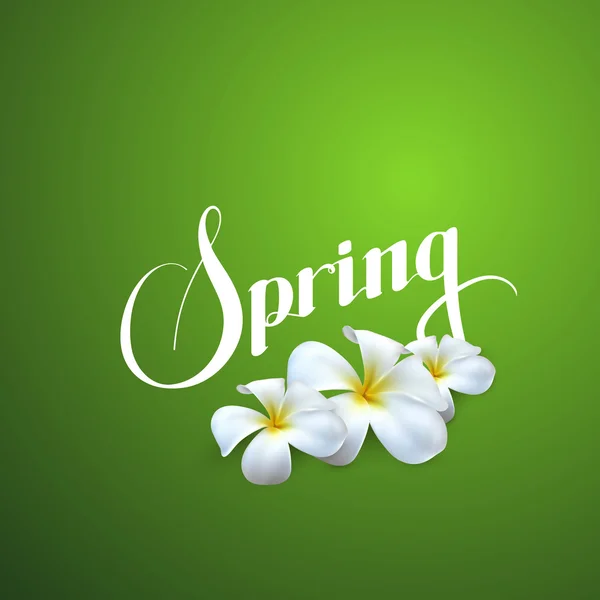 Spring season label — Stock Vector