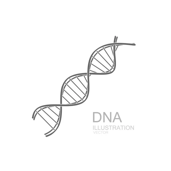 DNA-kedjan ikonen. — Stock vektor