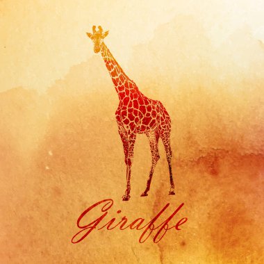 Bir zürafanın çizimi