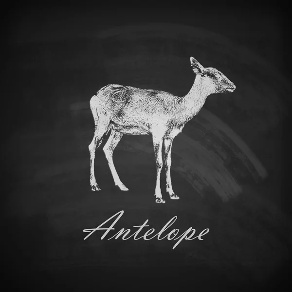 Antílope giz — Vetor de Stock