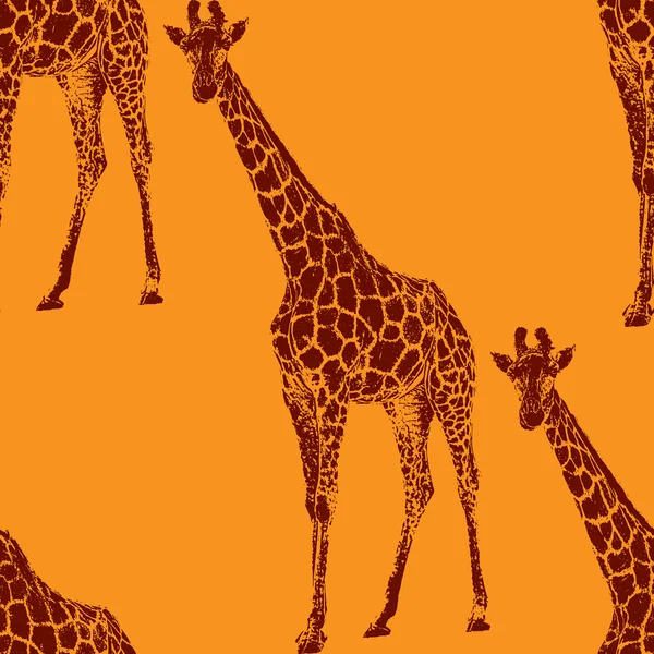 Ilustración de una jirafa — Vector de stock