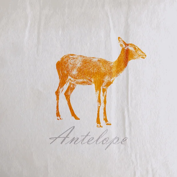 Antilope sur le vieux papier ridé — Image vectorielle