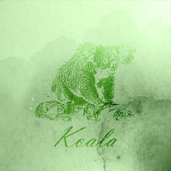 Modèle d'ours Koala — Image vectorielle