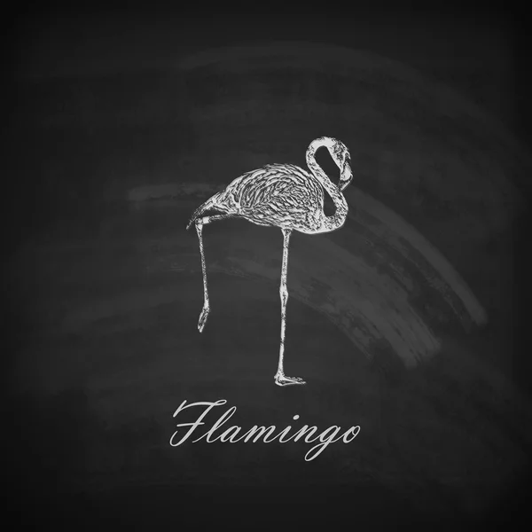 Kreide-Flamingo — Stockvektor