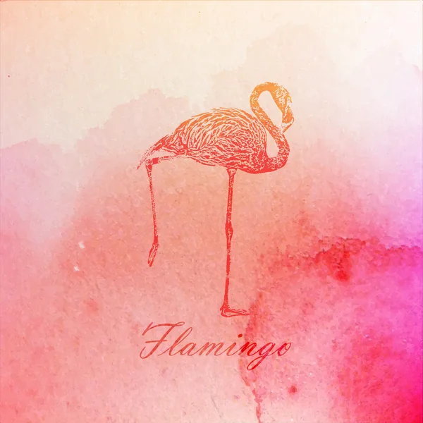 Illustratie van een roze flamingo — Stockvector