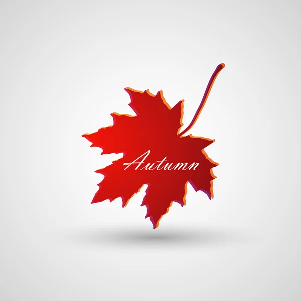 A maple leaf — Stock Vector
