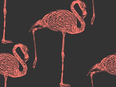 pembe flamingo