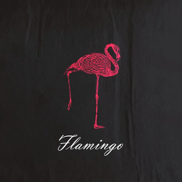 Flamingo rosa — Vetor de Stock