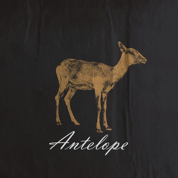 Antilope ou chèvre — Image vectorielle
